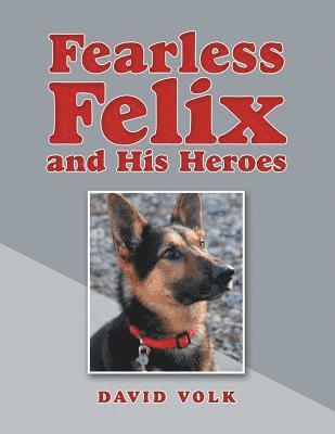 David Volk - Fearless Felix and His Heroes, Häftad