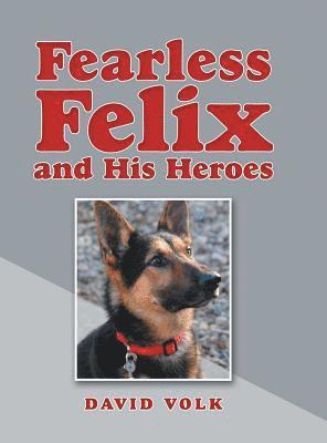 bokomslag Fearless Felix and His Heroes