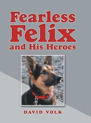 David Volk - Fearless Felix and His Heroes, Inbunden