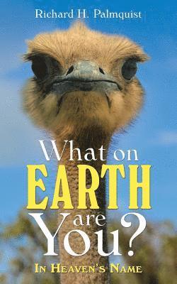 What on Earth Are You?