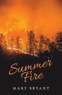 bokomslag Summer Fire
