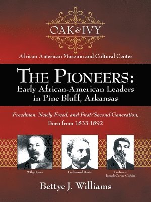 bokomslag Pioneers