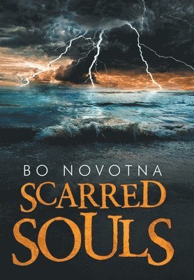 bokomslag Scarred Souls