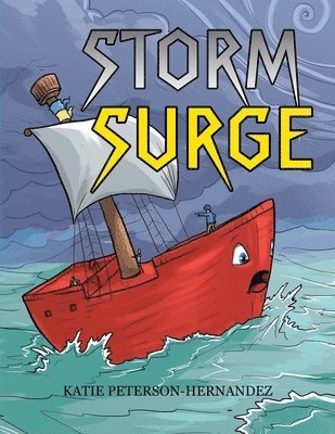 bokomslag Storm Surge