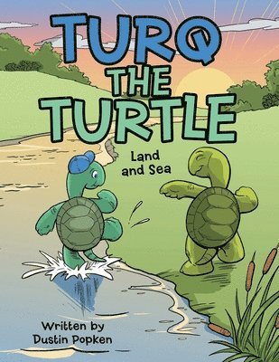 Turq the Turtle 1