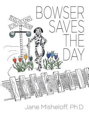 Jane Misheloff, Jane Misheloff PhD - Bowser Saves the Day, Häftad