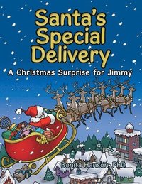 bokomslag Santa's Special Delivery