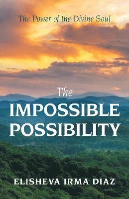 bokomslag Impossible Possibility