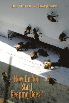 How Do You Start Keeping Bees? 1