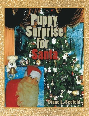 bokomslag Puppy Surprise for Santa