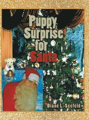 bokomslag Puppy Surprise for Santa