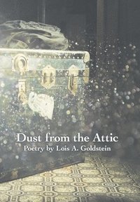 bokomslag Dust from the Attic