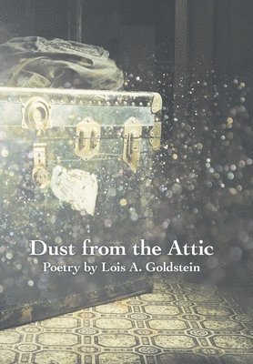 bokomslag Dust from the Attic