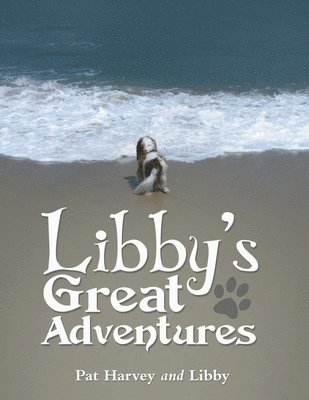bokomslag Libby's Great Adventures