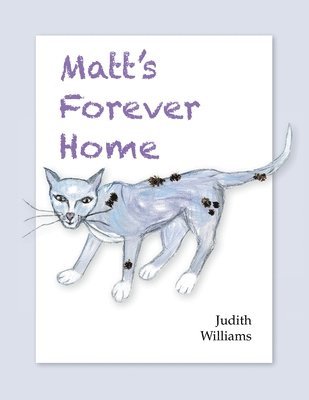bokomslag Matt's Forever Home