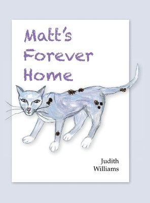 Matt's Forever Home 1