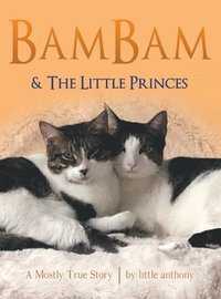 bokomslag Bambam & the Little Princes