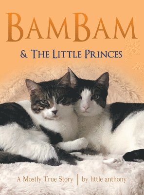 bokomslag Bambam & the Little Princes