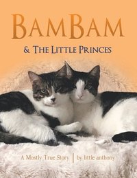 bokomslag Bambam & the Little Princes