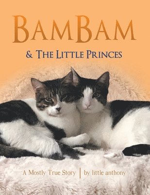 Bambam & the Little Princes 1