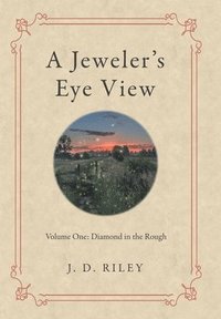 bokomslag Jeweler's Eye View
