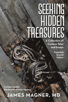 bokomslag Seeking Hidden Treasures