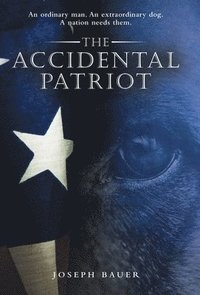 bokomslag Accidental Patriot