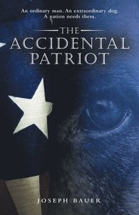bokomslag Accidental Patriot