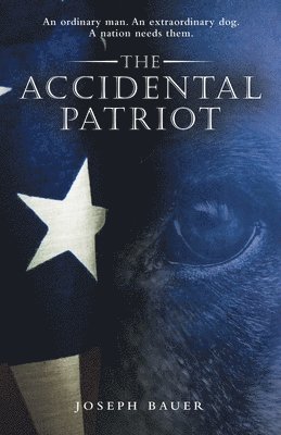 bokomslag Accidental Patriot