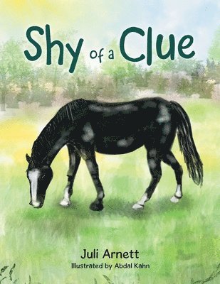 bokomslag Shy of a Clue