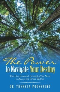 bokomslag The Power to Navigate Your Destiny