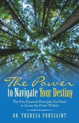 The Power to Navigate Your Destiny 1