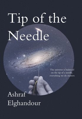 Tip of the Needle 1