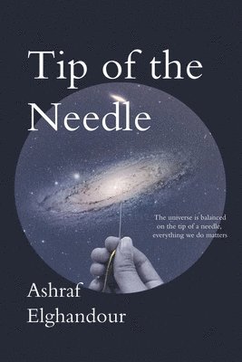 Tip of the Needle 1