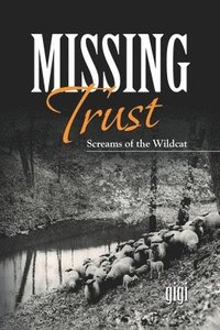 bokomslag Missing Trust