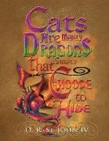 Cats Are Merely Dragons that Simply Choose to Hide 1