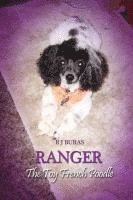 Ranger the Toy French Poodle 1