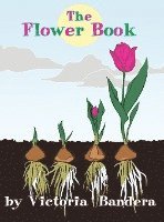 The Flower Book 1
