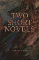 bokomslag Two Short Novels