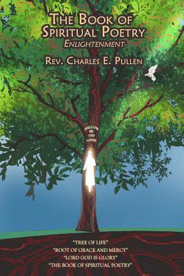 bokomslag The Book of Spiritual Poetry