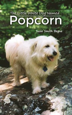 The Little White Dog Named Popcorn 1