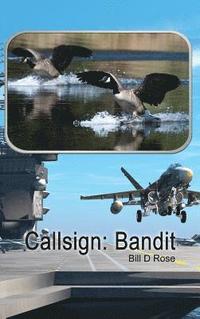 bokomslag Callsign: Bandit