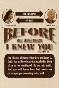 bokomslag Before You Were Born, I Knew You