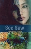 See Saw 1