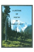 bokomslag A Lifetime of Poetry