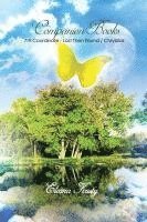 Kristy Kristy - Companion Books: 7th Coordinate - Lost Then Found / Chrysillas, Häftad