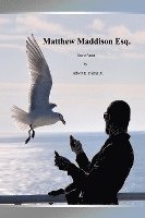 bokomslag Matthew Maddison Esq.: Secret Agent