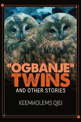 bokomslag 'Ogbanje' Twins and Other Stories