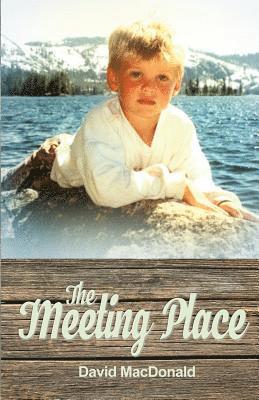 David MacDonald, David Macdonald - The Meeting Place, Häftad