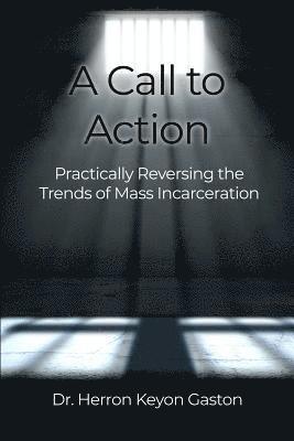 bokomslag A Call to Action: Practically Reversing the Trends of Mass Incarceration